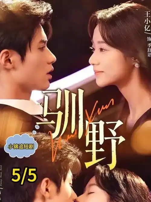 电视剧《归途》海报，海岸线